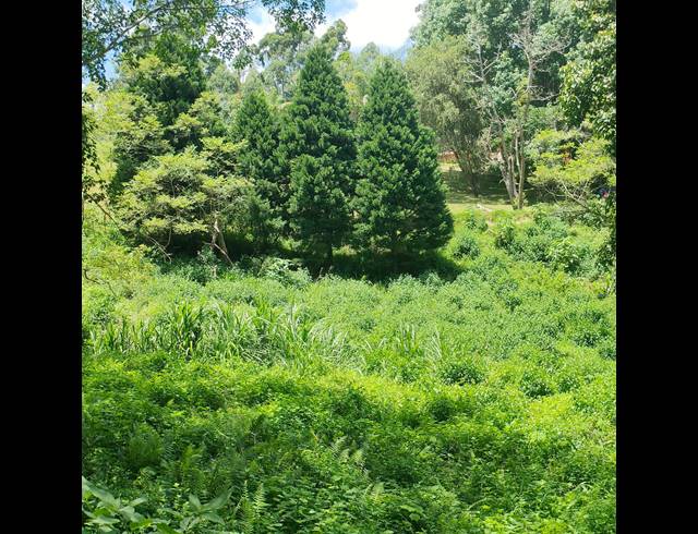 6,000M² VACANT LAND FOR SALE IN CLIFTON PARK